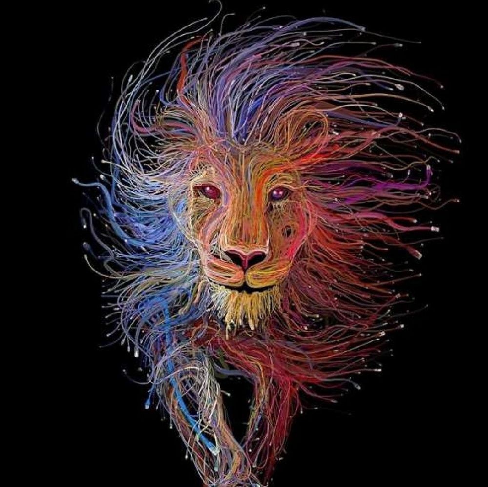 Meet your Posher, Lei